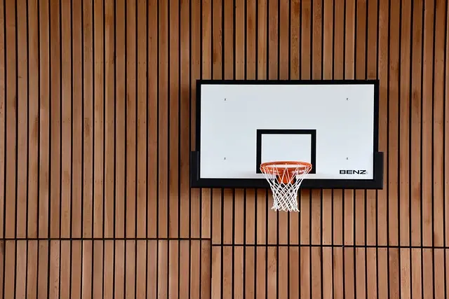 Top 5 des joueurs de basketball qui ont marqué l'histoire