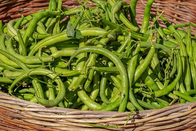 Comment Créer un Panier de Légumes Sain et Équilibré