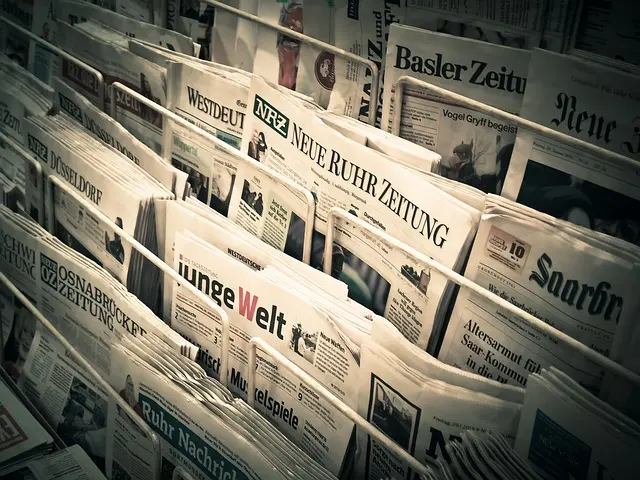 Cómo interpretar las noticias sencillas sobre sostenibilidad