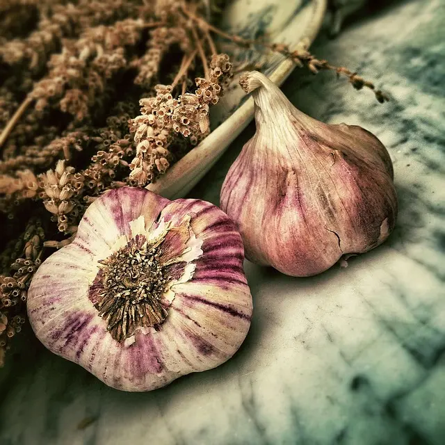 Les Aliments Indispensables pour Équilibrer Votre Dosha