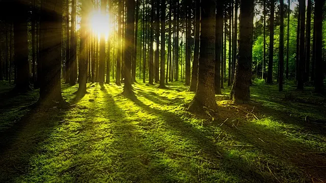 Top 10 Eco-Friendly Leisure Activities to Try