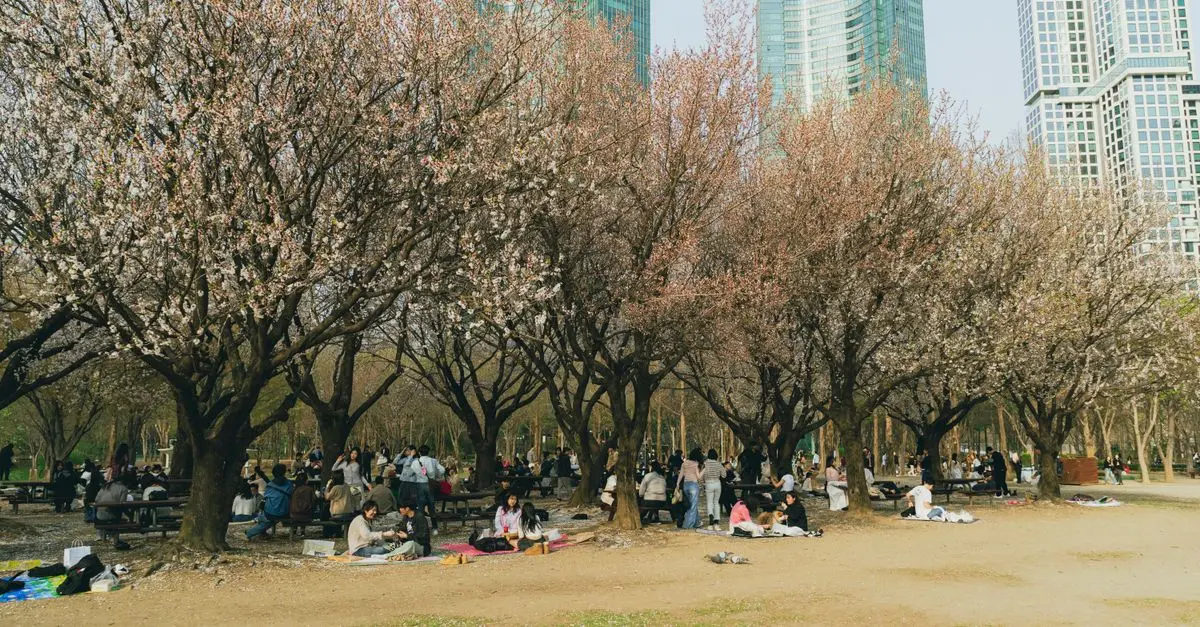 Les rituels coréens du printemps : traditions et significations