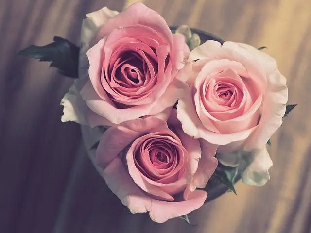 Comment choisir le bon thème pour vos noces d'or