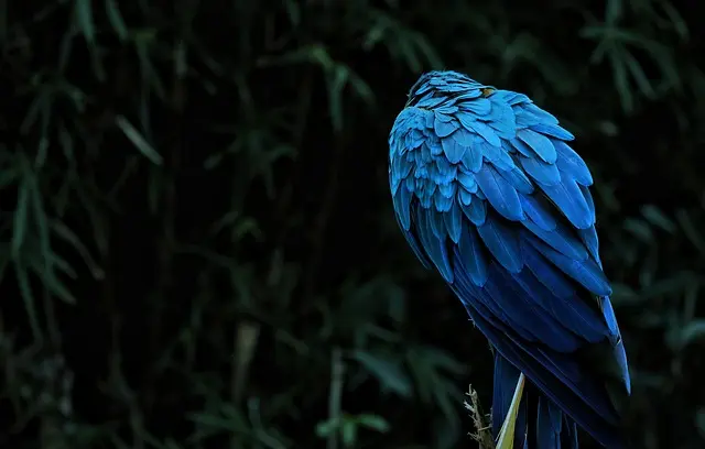 Las mejores experiencias de ecoturismo que debes conocer