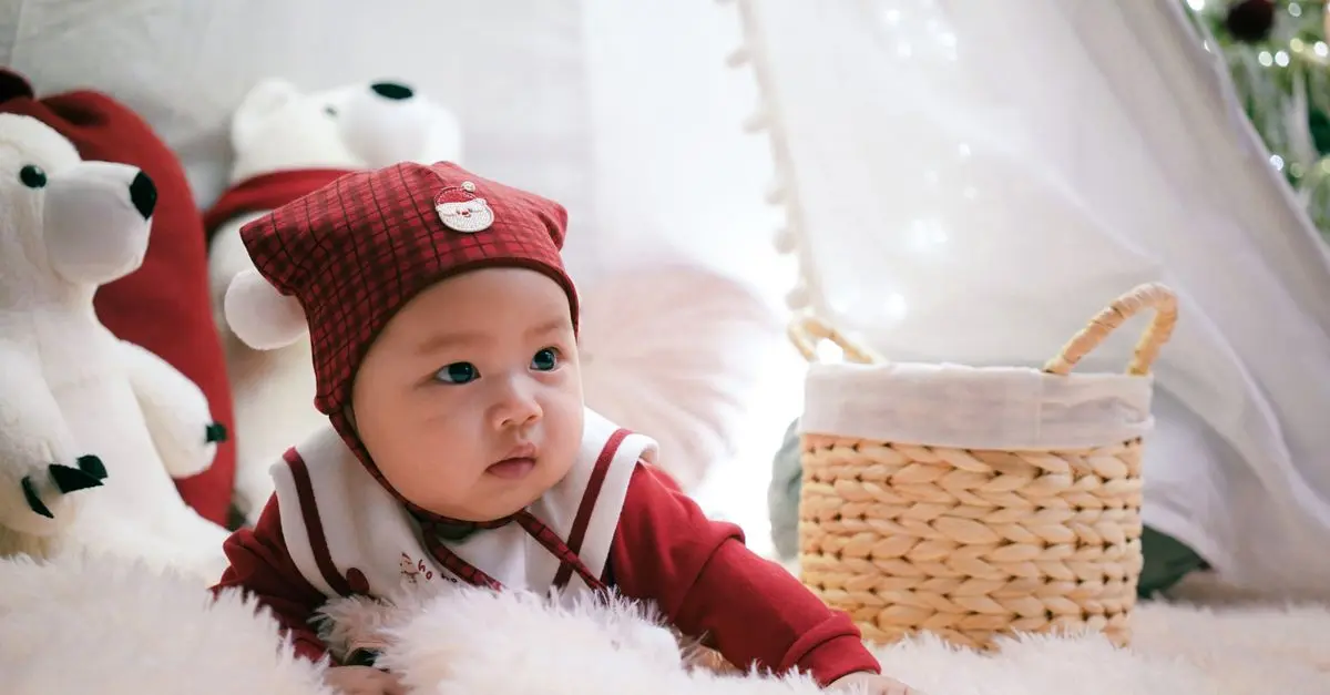 Guide d'achat du meilleur hamper pour bébé
