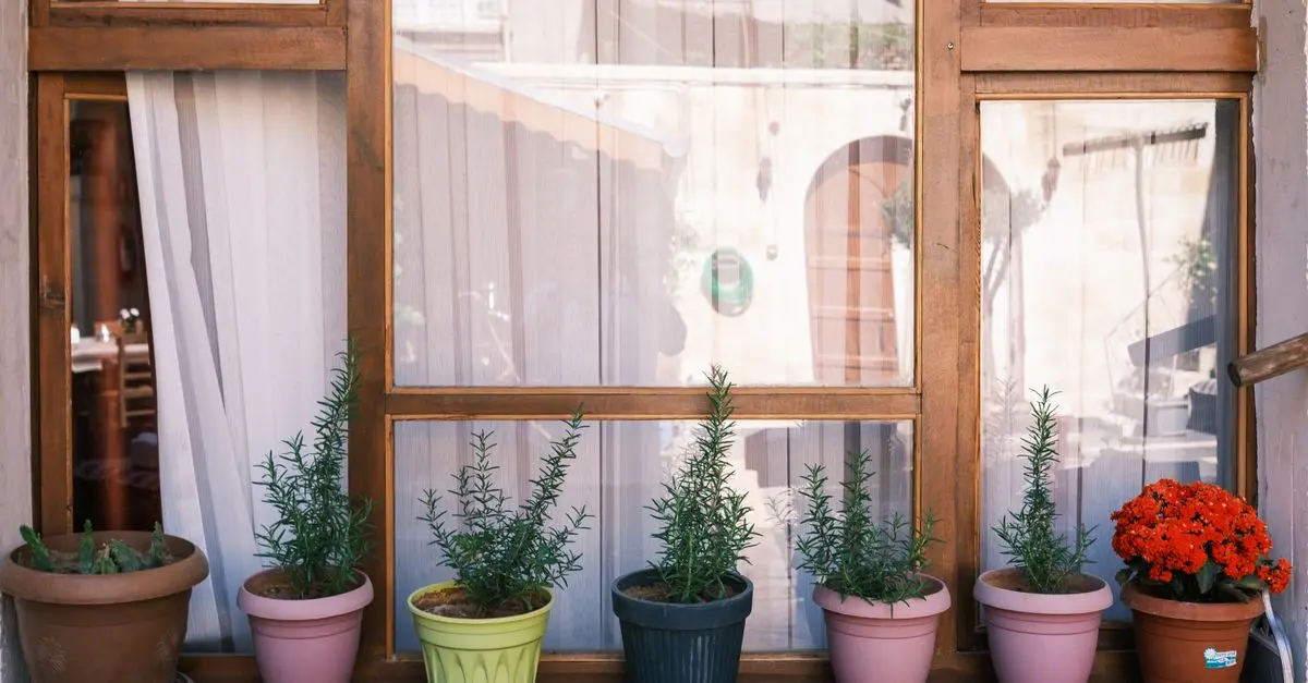 Comment créer un jardin comestible dans un petit espace