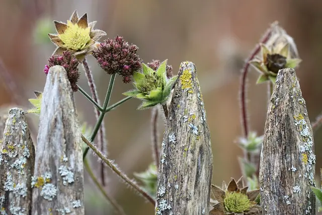 10 consejos para crear un jardín vertical en casa