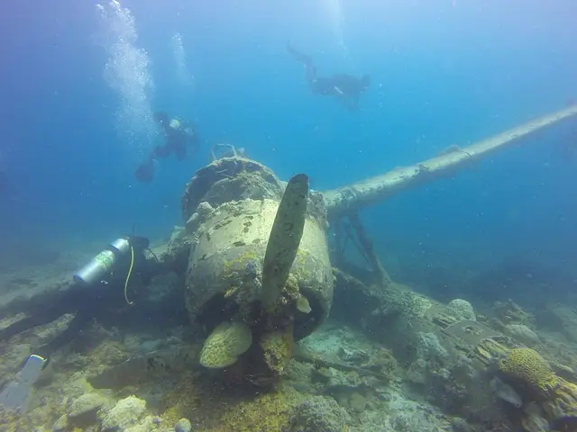 Les erreurs à éviter pour réussir votre première exploration sous-marine