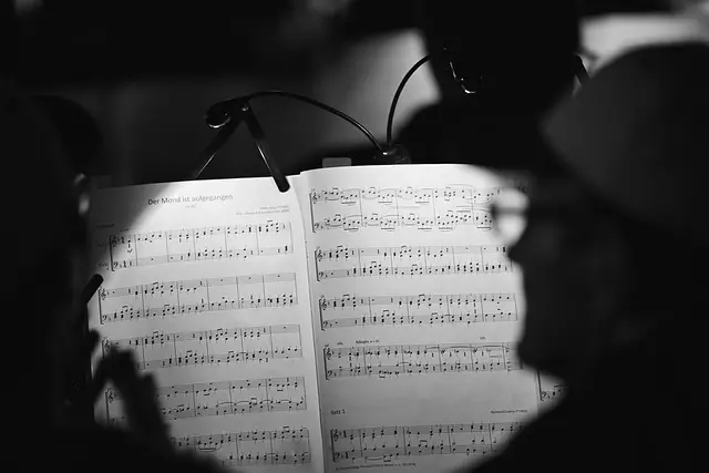 10 Consejos para Elegir el Mejor Festival de Música para Ti