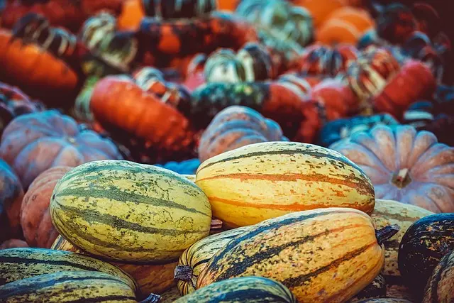 Les défis de la vente saisonnière en agriculture