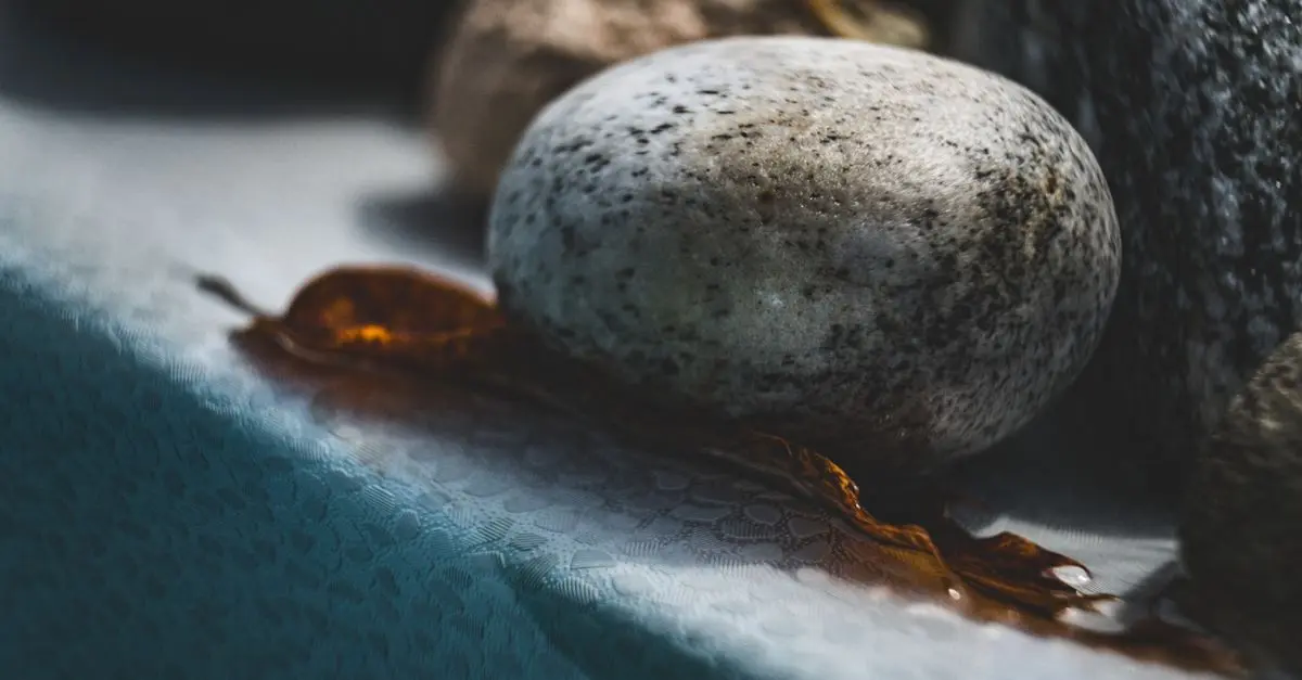 Les Rituels de Méditation à Intégrer lors de Votre Escapade Bien-Être