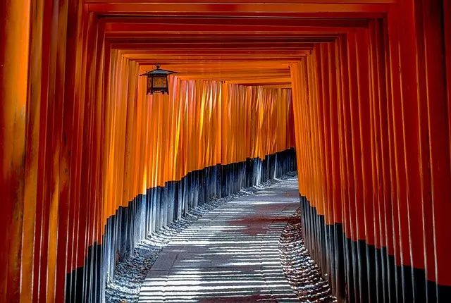 10 Razones Para Visitar Kyoto en Primavera