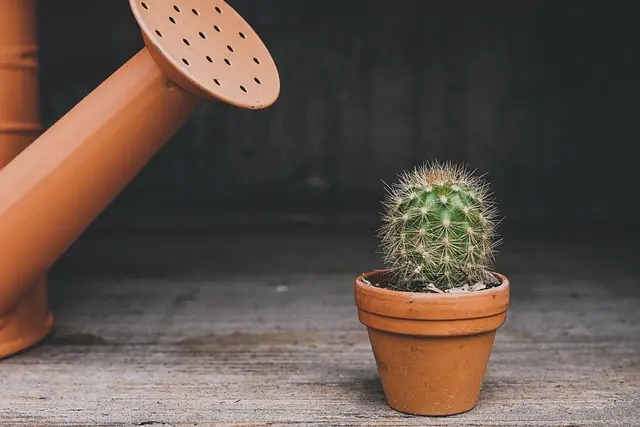 10 Consejos Esenciales para Cultivar un Jardín Sostenible
