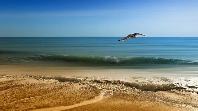 10 consejos para elegir el destino perfecto para tus vacaciones