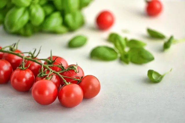 Comment Préparer des Repas Paléo en Moins de 30 Minutes