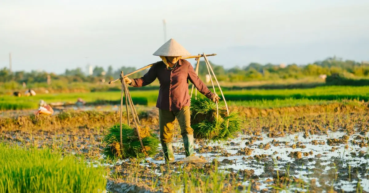 Comment définir un prix compétitif pour vos produits agricoles