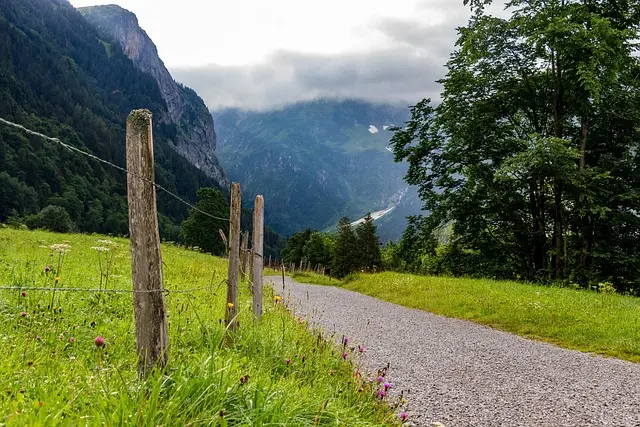 Les meilleures astuces pour planifier votre voyage en Suisse