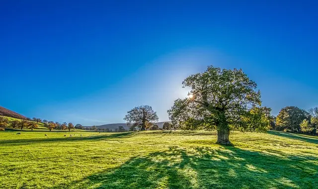 5 Mitos Comunes sobre la Energía Solar que Debes Conocer