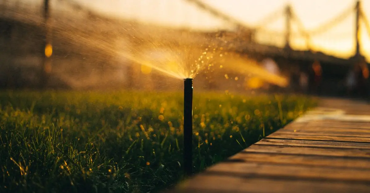 Les avantages des systèmes d'irrigation automatisés pour votre jardin