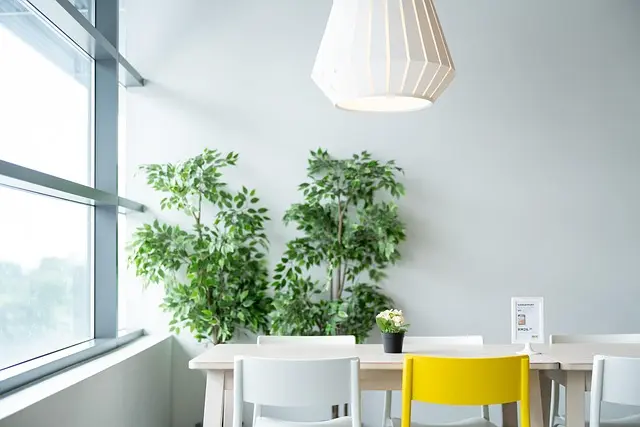 Les 5 Projets de Nouvelle Vie Qui Peuvent Transformer Votre Quotidien