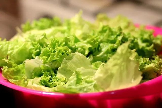 Cómo Hacer la Mejor Ensalada Española: Receta y Consejos