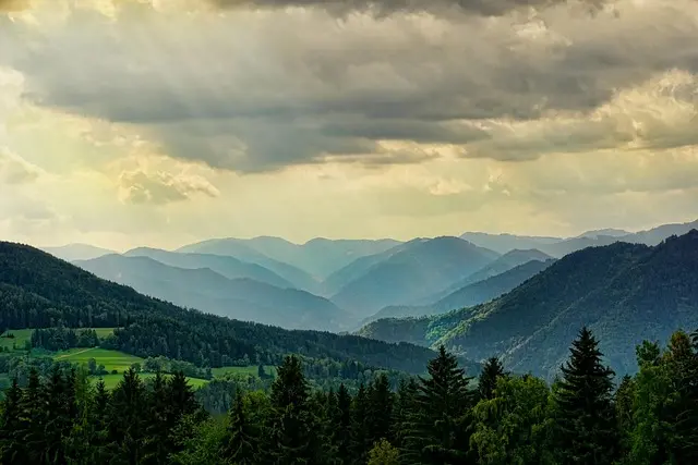 10 Essential Steps to Transition into Professional Photography