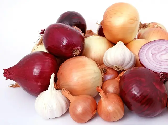 10 Aliments Ayurvédiques Pour Équilibrer Votre Dosha