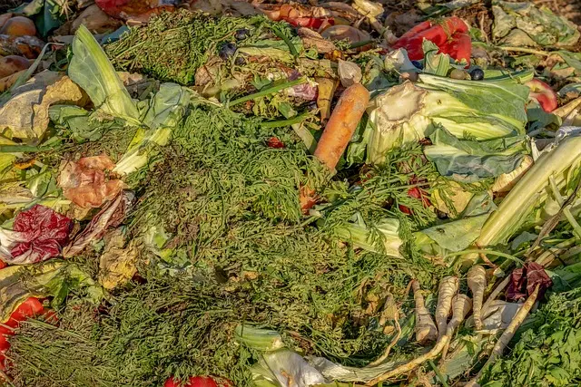 Guide d'achat : Meilleur broyeur de compost