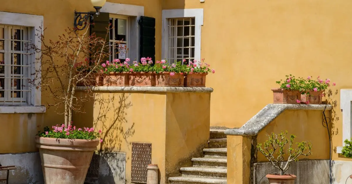 10 Plantes Méditerranéennes à Cultiver dans Votre Jardin