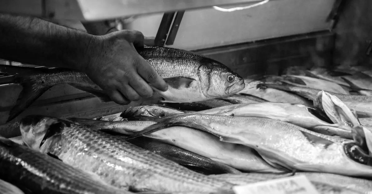 Les Meilleures Techniques Pour Évaluer la Fraîcheur du Poisson