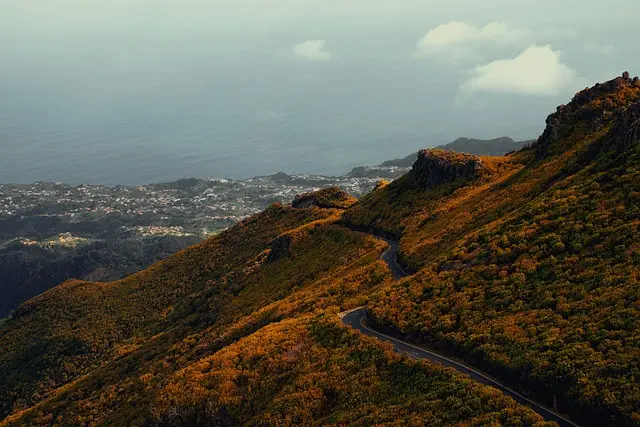 Les Tendances des Routes Panoramiques à Suivre en 2026
