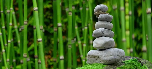 10 Techniques de Relaxation Rapides pour un Équilibre Quotidien