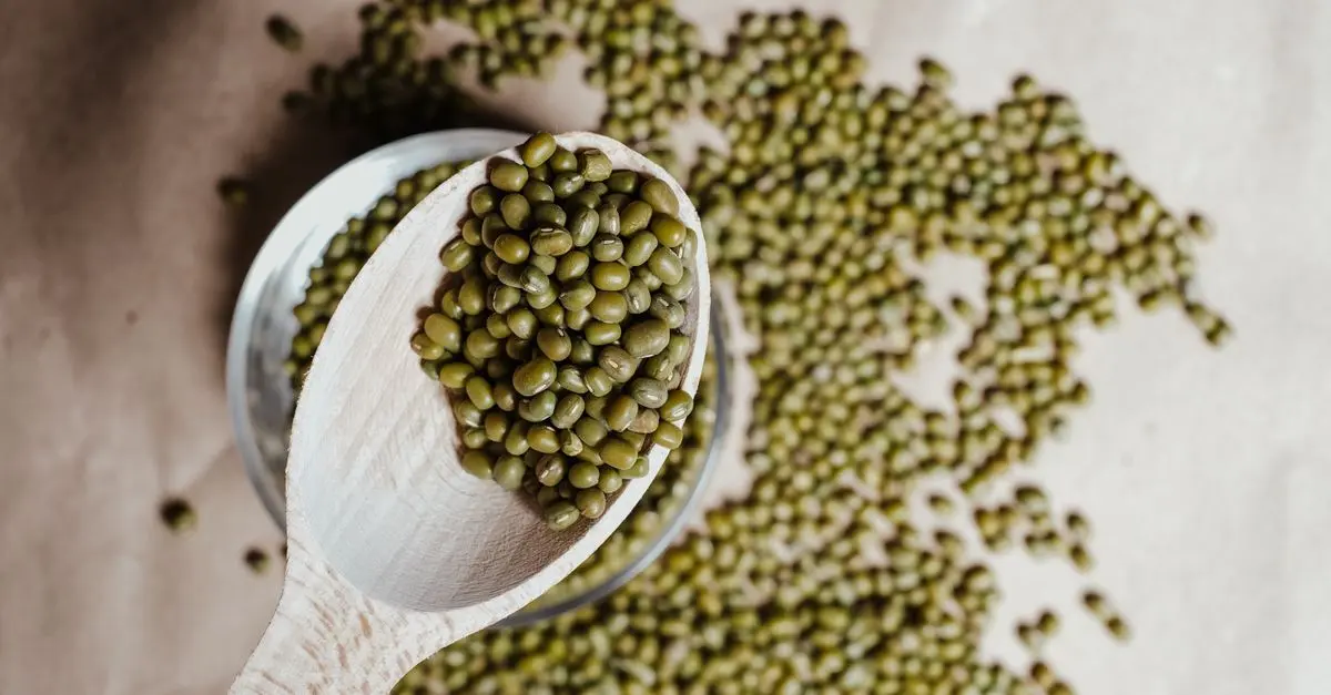 Best Vegan Protein Sources for Athletes