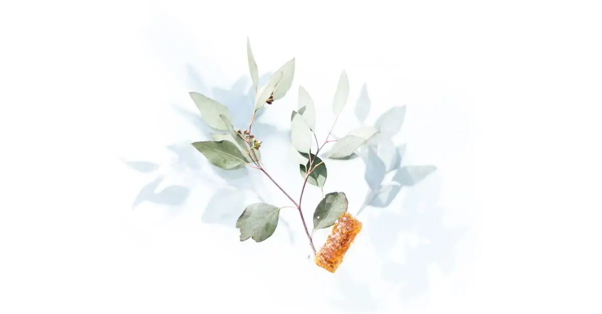10 ingredientes naturales para una rutina de belleza efectiva