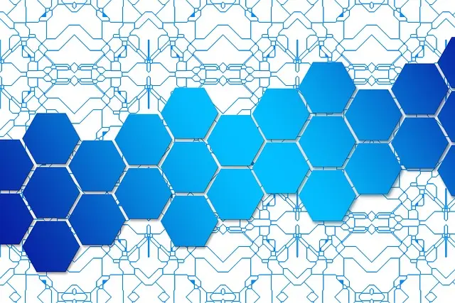 Wie Sie durch Networking Ihre Karriere nachhaltig fördern