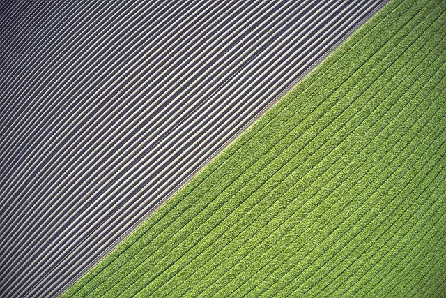 Les outils de ferme pour une agriculture durable et moderne