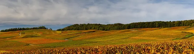 Maximisez vos Économies avec les Soldes Automne