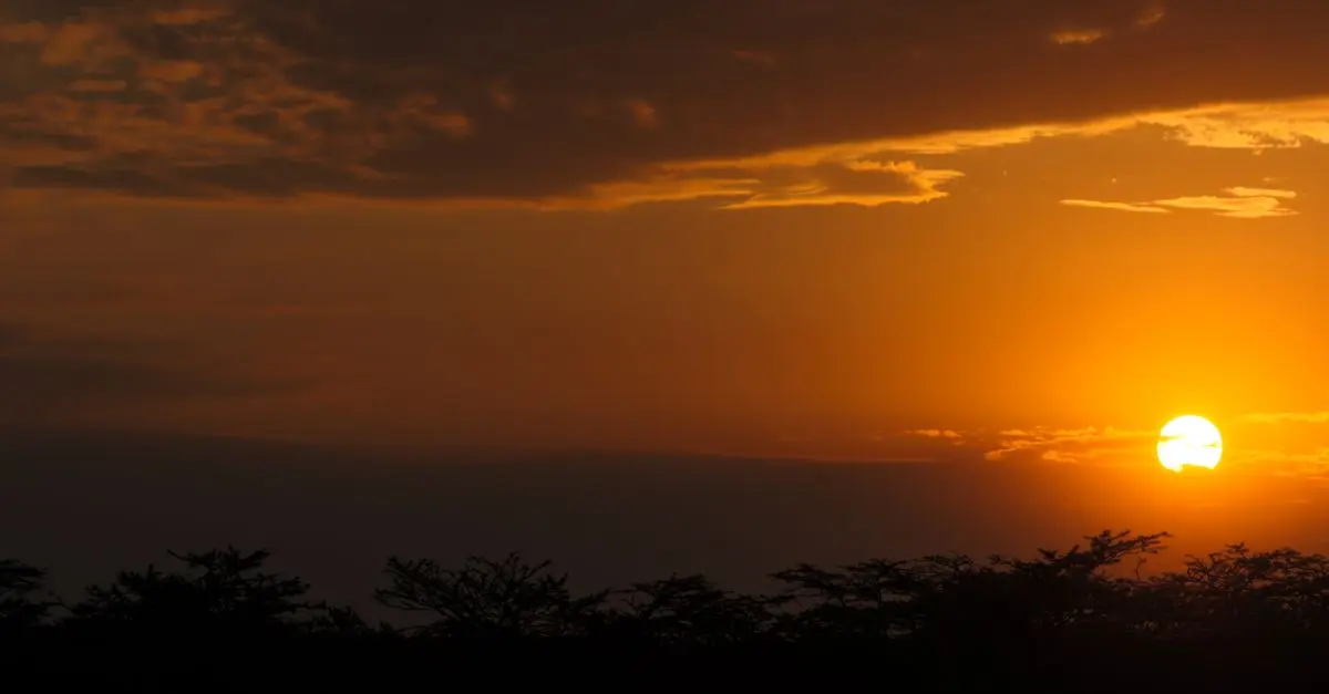 Les Meilleures Destinations pour l'Écotourisme en Afrique