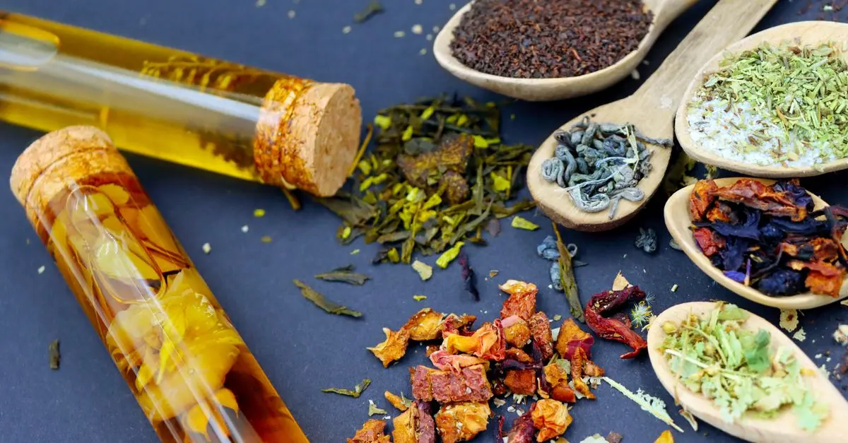 Infusions détox : Les meilleures plantes à choisir