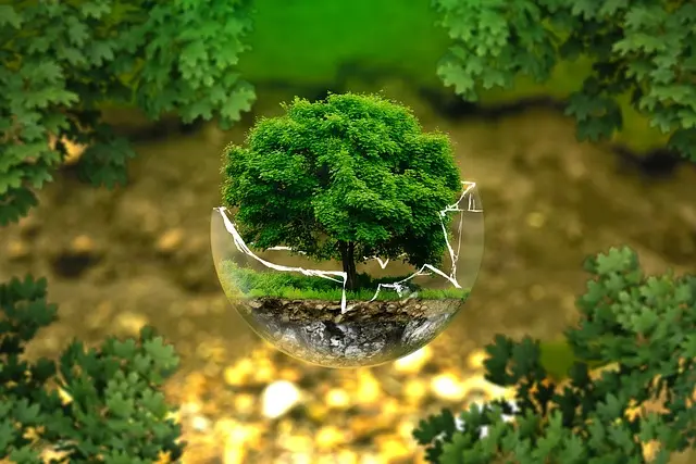 Comment créer un jardin écologique : conseils et astuces