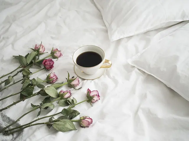 How to Choose the Perfect Blogging Niche for Your Success