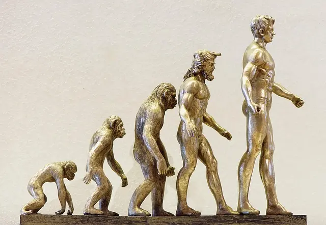 L'évolution des marques iconiques : de la tradition à l'innovation