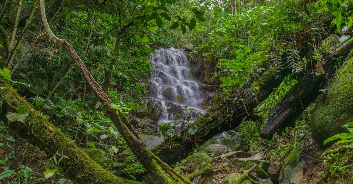 5 Destinations Incontournables pour un Voyage Écoresponsable