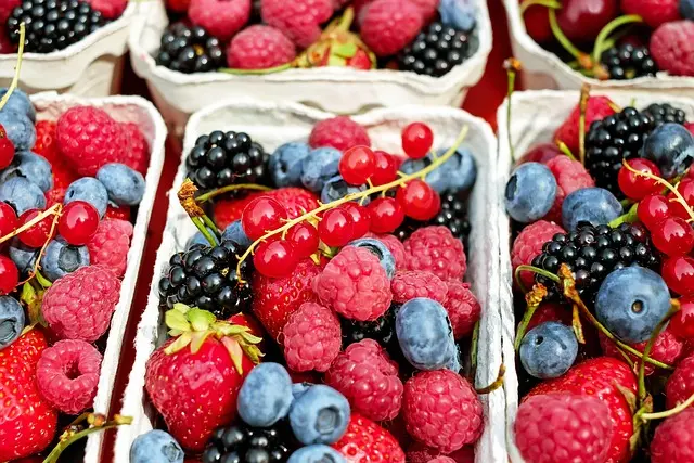 Pourquoi choisir des produits bio pour un impact positif