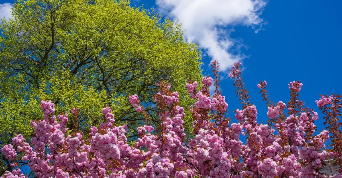 À la découverte des plus belles villes à visiter au printemps