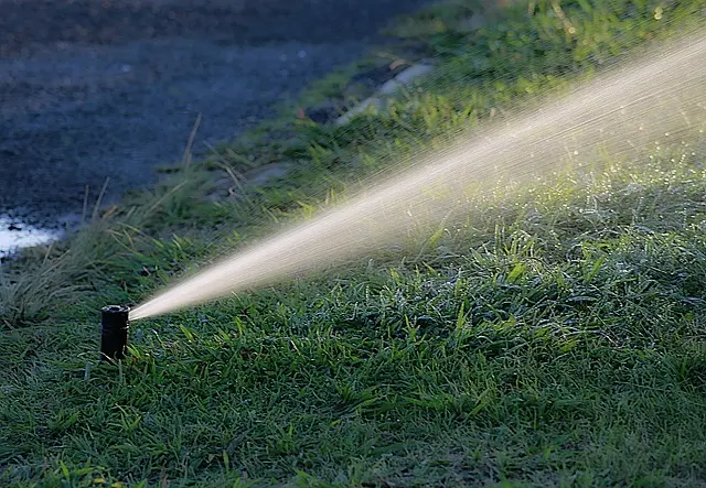 Système d'irrigation et économies d'eau : 10 astuces clés