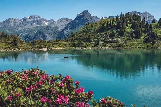 Guide pratique pour découvrir les merveilles cachées de la Suisse