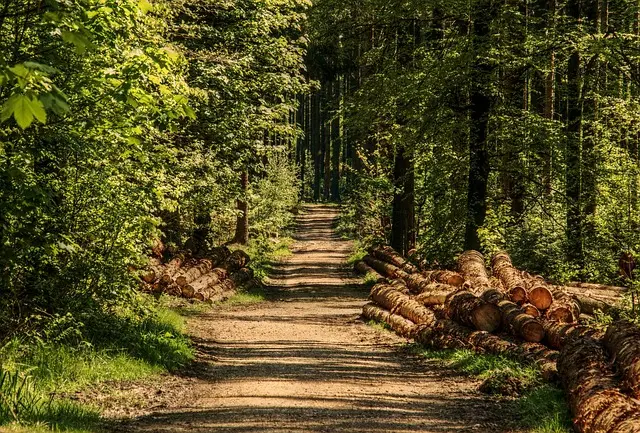 Voyager au Rythme de la Nature : Les Meilleures Pratiques