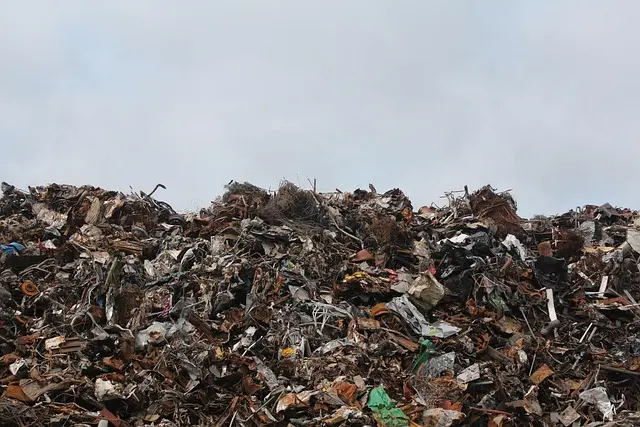 Emerging Trends in Junk Management You Should Know