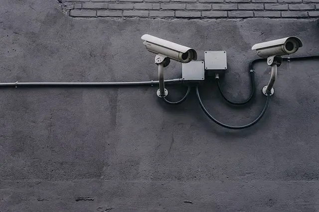 Cómo seleccionar el servicio de seguridad ideal para eventos